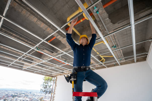 Best Emergency Plumber  in Unionville, TN