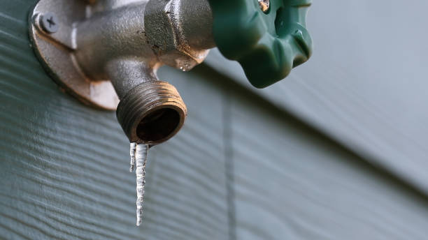 Best Water Leak Repair  in Unionville, TN